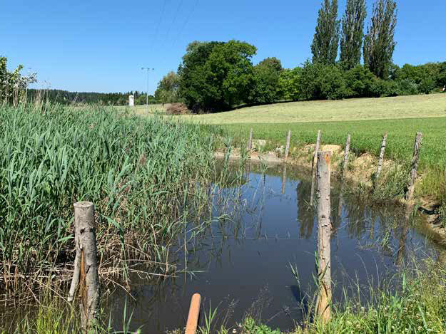 Tongrube Großbettenrain