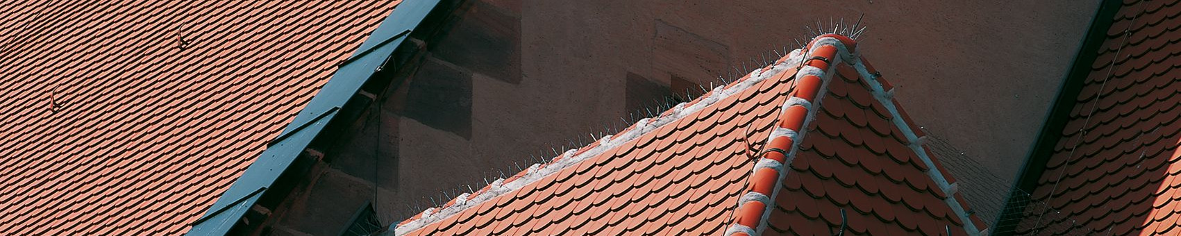 SAKRAL Rundschnitt naturrot