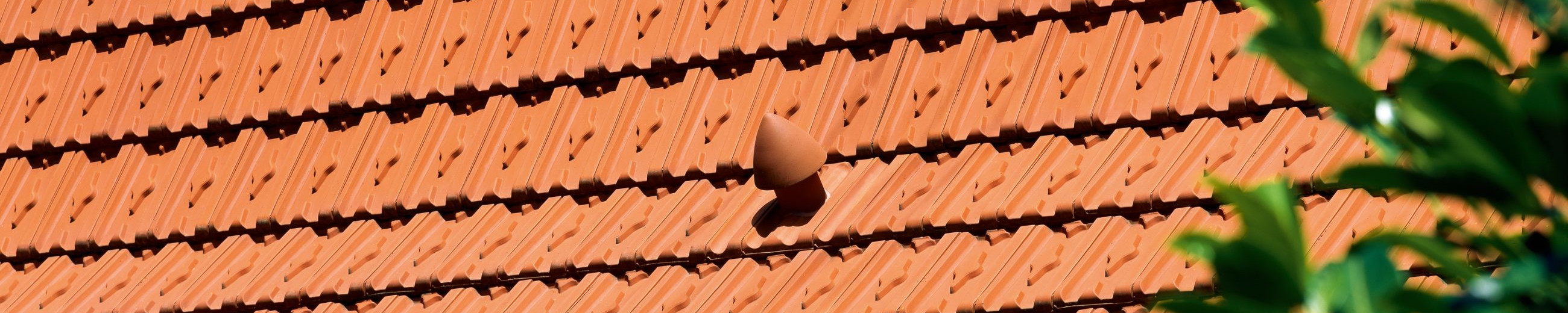HERZZIEGEL naturrot